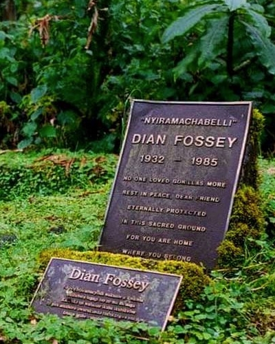 3 Day gorilla Trekking and Dian Fossey Hiking Safari