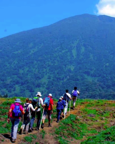 4-Day Gorilla Trekking in Bwindi and Karisimbi Hike