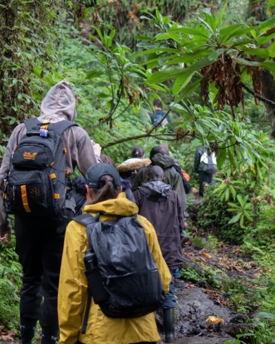 2-Day Gorilla Trekking and Hiking Mount Bisoke