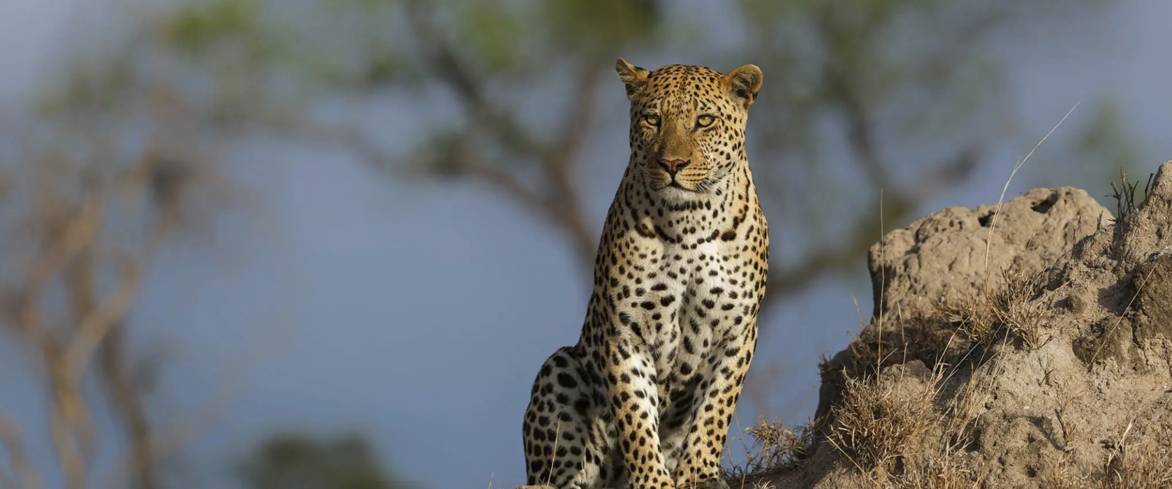 10-Day Uganda Wildlife and Cultural Safari