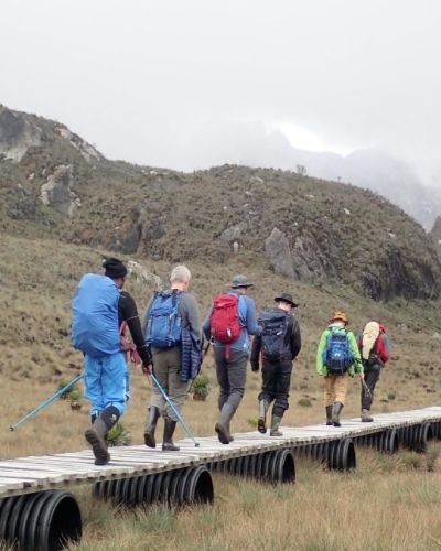 11-Day Rwenzori Hiking and Gorilla Trekking Adventure