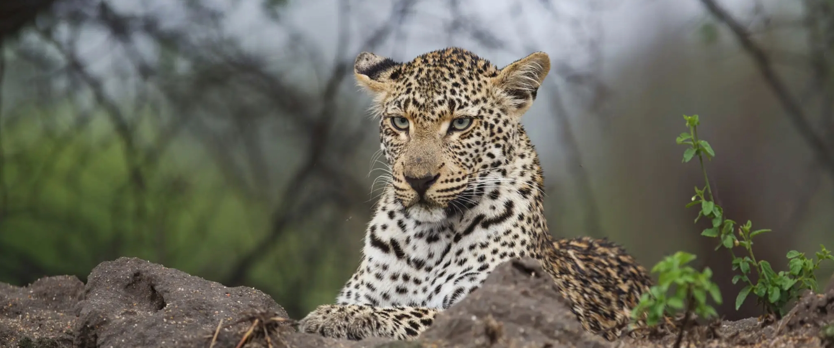 Two-Week Journey Through East Africa’s Finest Wilderness