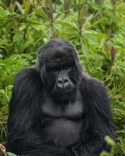 Two-Week Journey Through East Africa’s Finest Wilderness