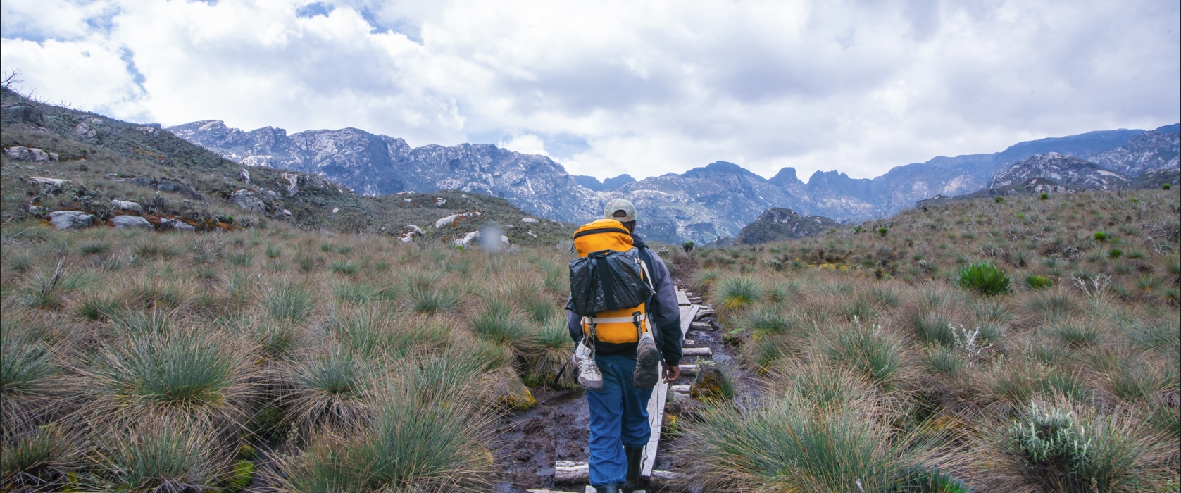Discover the Beauty of the Mahoma Trail