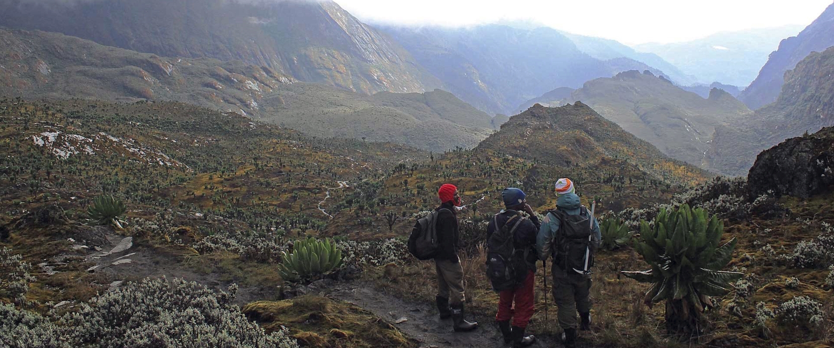 Hiking Rwenzori Central Circuit Trail