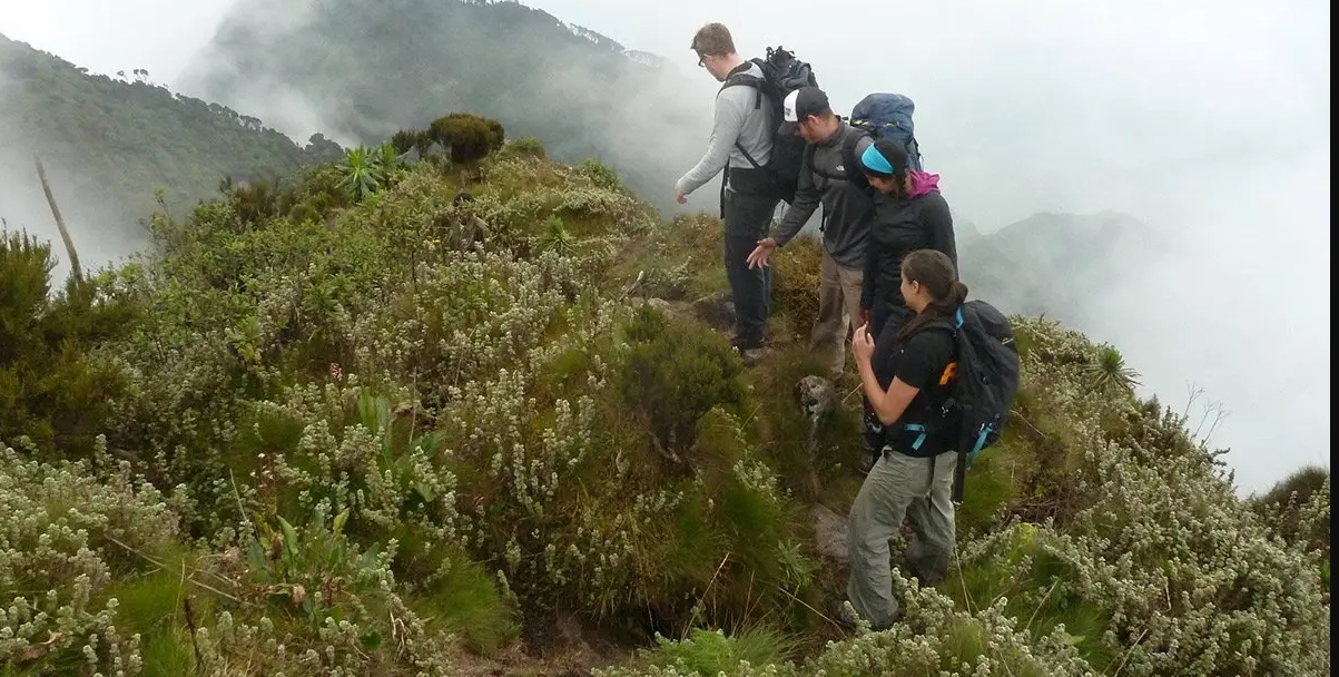 A Hike on Mountain Sabinyo