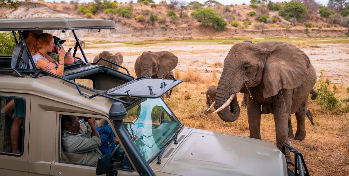 Travel Tips for Travellers on a Safari in East Africa