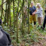 Elderly Gorilla Trekking in Uganda