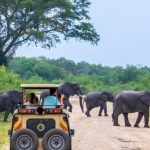 Getting to Queen Elizabeth National Park