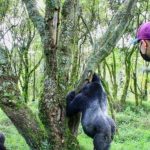What to do in Mgahinga National Park?