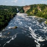 The source of the Nile